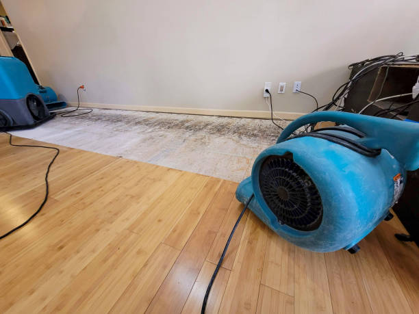 Professional Burst Pipe Water Damage technician working in Renick, MO